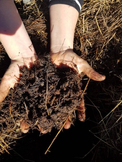 Dos huerteros en la Patagonia: otra agricultura es posible - Foto 3