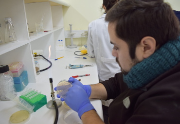 Magíster en Ciencias Microbiológicas de la PUCV logró su primera acreditación por seis años - Foto 2