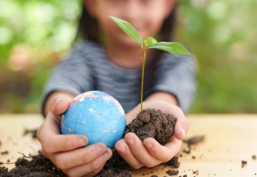 Buscan formar a profesores de escuelas y liceos para enseñar sobre cambio climático