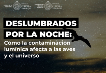 Webinar: "Deslumbrados por la noche: cómo la contaminación lumínica afecta a las aves y el universo"