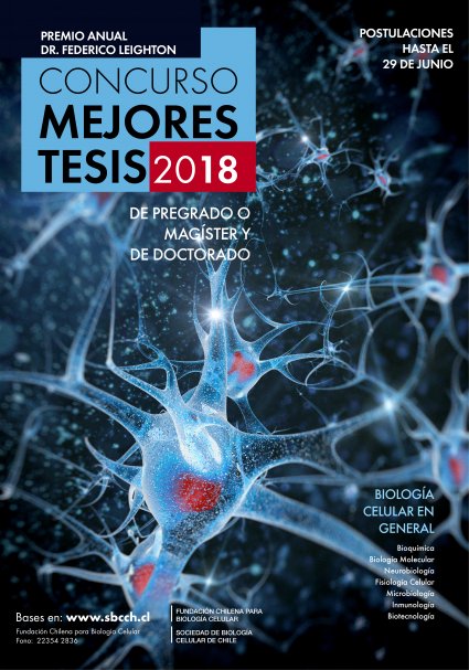 Premio Anual Dr. Federico Leighton a las mejores tesis 2018