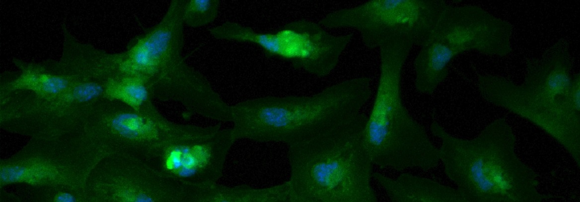 Nuestros académicos desarrollan investigación científica de punta