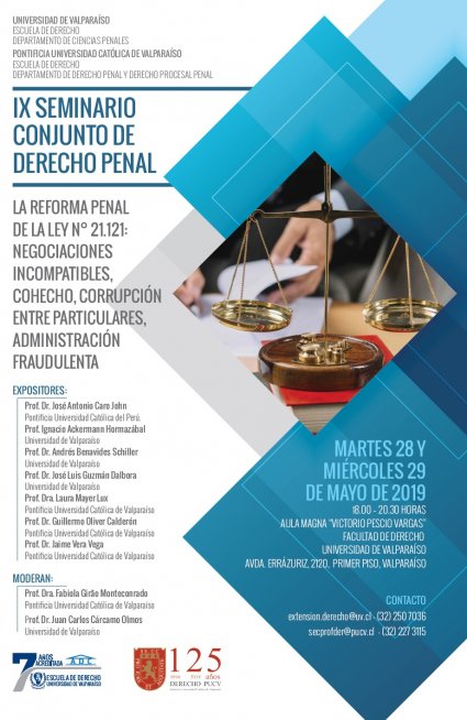 IX Seminario Conjunto de Derecho Penal