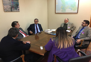 Autoridades del Instituto de Historia PUCV dialogan con presidente del Senado y miembros de la Comisión de Educación de la Cámara Alta sobre cambios curriculares de 3° y 4° medio