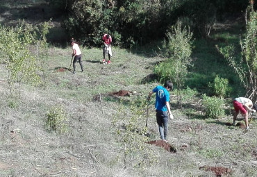 Escuela de Educación Física PUCV lideró trabajo de reforestación en el Parque CRUV