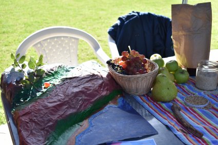 Estudiantes de primer año participan en Feria Agrícola 2019