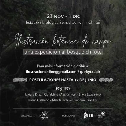 Convocatoria abierta para la quinta versión del curso "Ilustración botánica de campo, una expedición al bosque chilote"