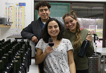 Ex alumnos de Agronomía elaboran vino con la primera cosecha proveniente de la Estación Experimental