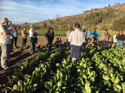 Mención Hortalizas y Flores realiza gira por La Serena y Ovalle