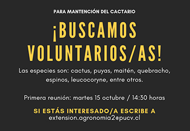 Atención: se buscan voluntarios para la mantención del cactario