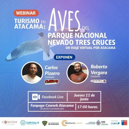 Webinar Cowork Atacama: "Aves en el Parque Nacional Nevado Tres Cruces, un viaje virtual por Atacama"