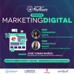 Chrysalis Partners: Marketing digital