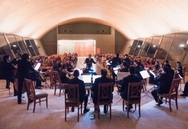 Orquesta de Cámara PUCV: Los desafíos de la distancia para hacer música “juntos”