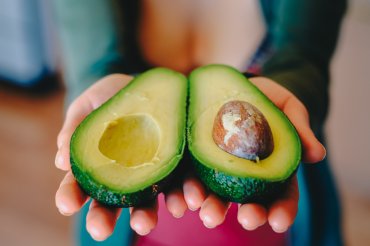 Estudiantes de la especialización de fruticultura participan en el VI Seminario Internacional de Palta organizado por Westfalia Perú