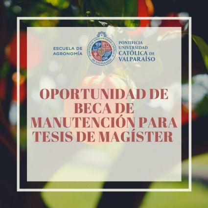 Oportunidad de beca de manutención para tesis de magíster en Cs. Agronómicas y Medioambientales