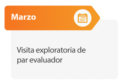 Visita exploratoria de par evaluador