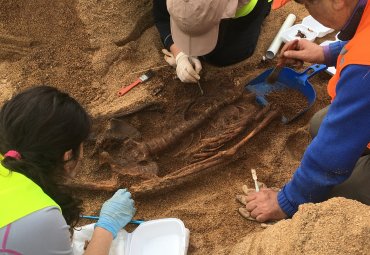 Desarrollan encuentro “Hallazgos arqueológicos en la Plaza O'Higgins”