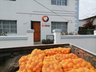 Estación Experimental La Palma realiza importante donación de naranjas a Fundación BanAmor