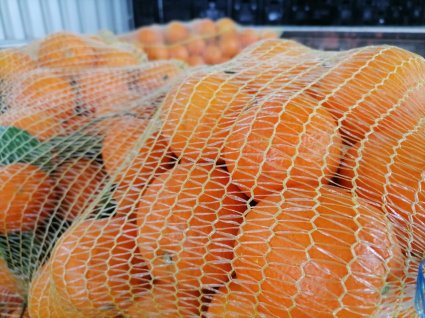 Estación Experimental La Palma realiza importante donación de naranjas a Fundación BanAmor