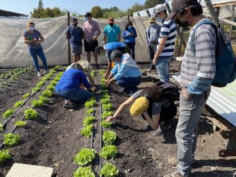 Agronomía PUCV realizó exitosas capacitaciones sobre manejo de plagas a productores de Quillota