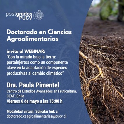 Webinar : “Con la mirada bajo la tierra: portainjertos como un componente clave en la adaptación de especies productivas al cambio climático”