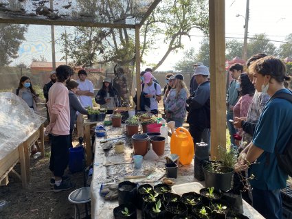 Curso de agronomía asistió a pensionado de la PUCV en Quillota en actividad de reconocimiento de flora nativa