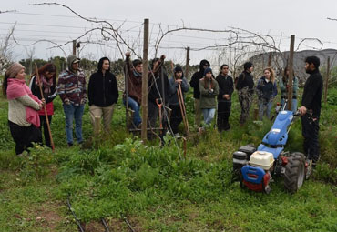 Centro Ceres otorgó capacitación a voluntarios del proyecto Manos en la Tierra de Agronomía PUCV