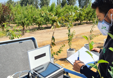 El Centro de Estudios Avanzado en Fruticultura recibirá a practicantes de Agronomía PUCV