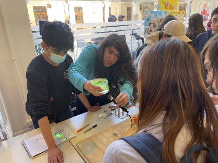 Estudiantes BETA PUCV muestran sus aprendizajes en Feria Interactiva