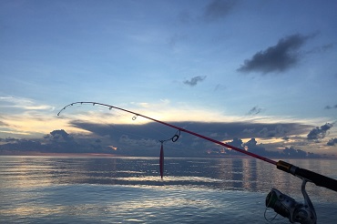 Entre la ciencia y el mar, el cariño de Damián Donoso por la pesca